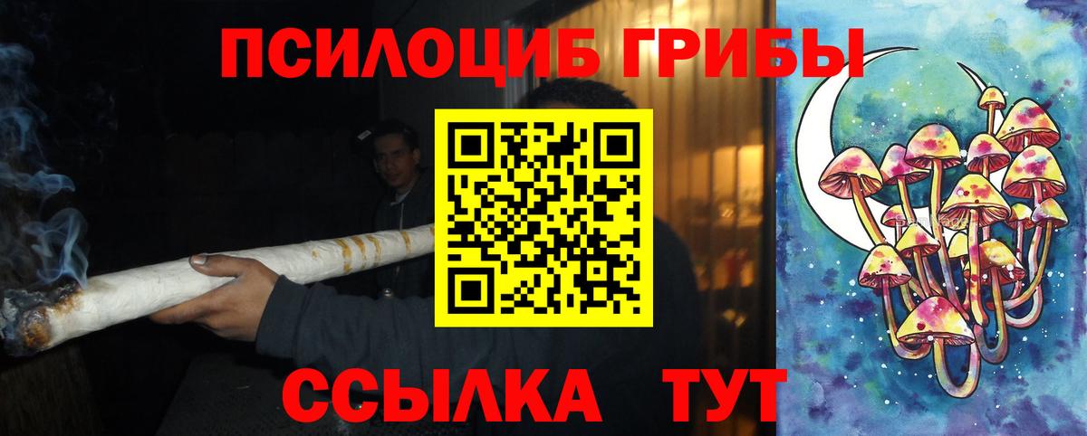 Галлюциногенные грибы мицелий  Галлюциногенные грибы мицелий  Вход с VPN  Кемерово 